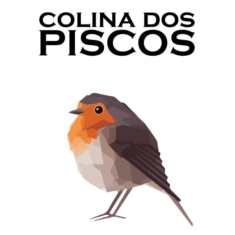 Casais da Abadia Colina Dos Piscos酒店 外观 照片