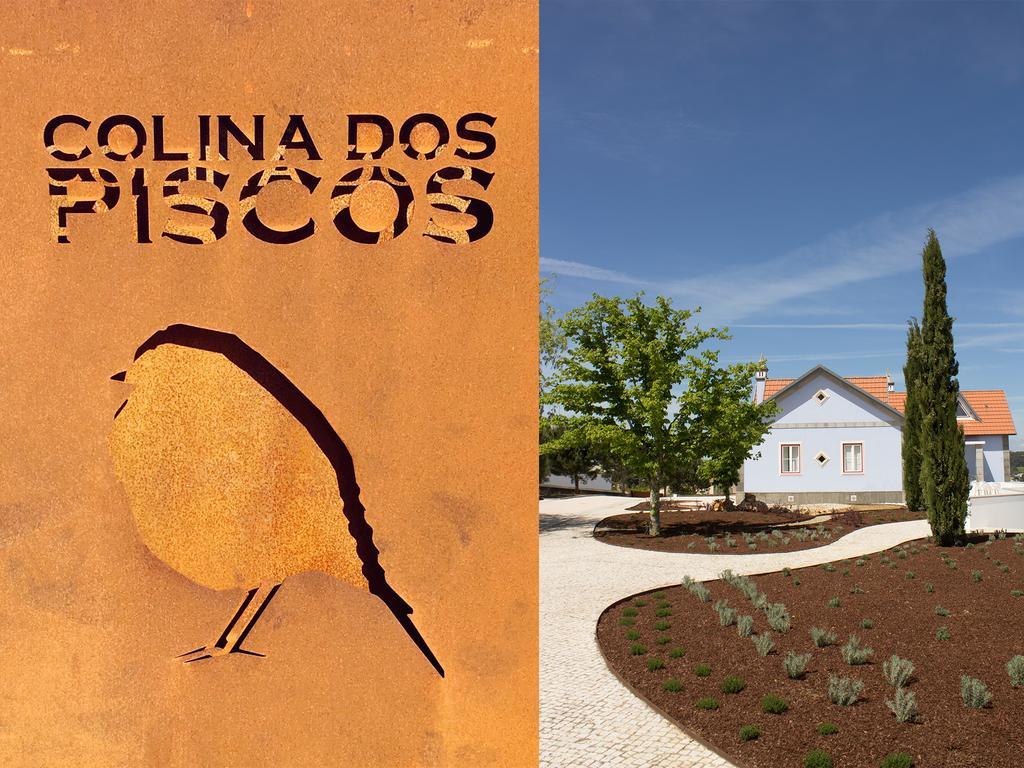 Casais da Abadia Colina Dos Piscos酒店 外观 照片